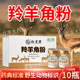 敬道羚羊角粉0.3g*10瓶正品中药材干货饮片拥有野生动物管理标识