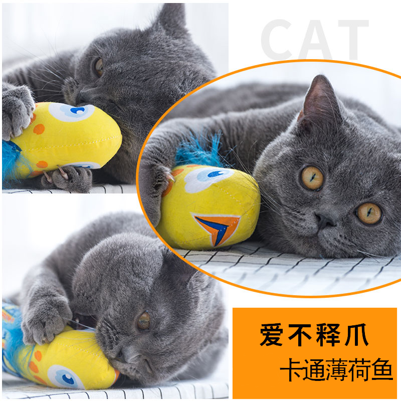 猫薄荷玩具鱼猫咪解闷啃咬抱枕宠物玩偶小鱼逗猫假鱼猫破荷用品在类目 宠物/宠物食品及用品, 猫/狗玩具, 逗猫棒中 - 来自Buy2taobao.com提供专业的淘宝代购服务