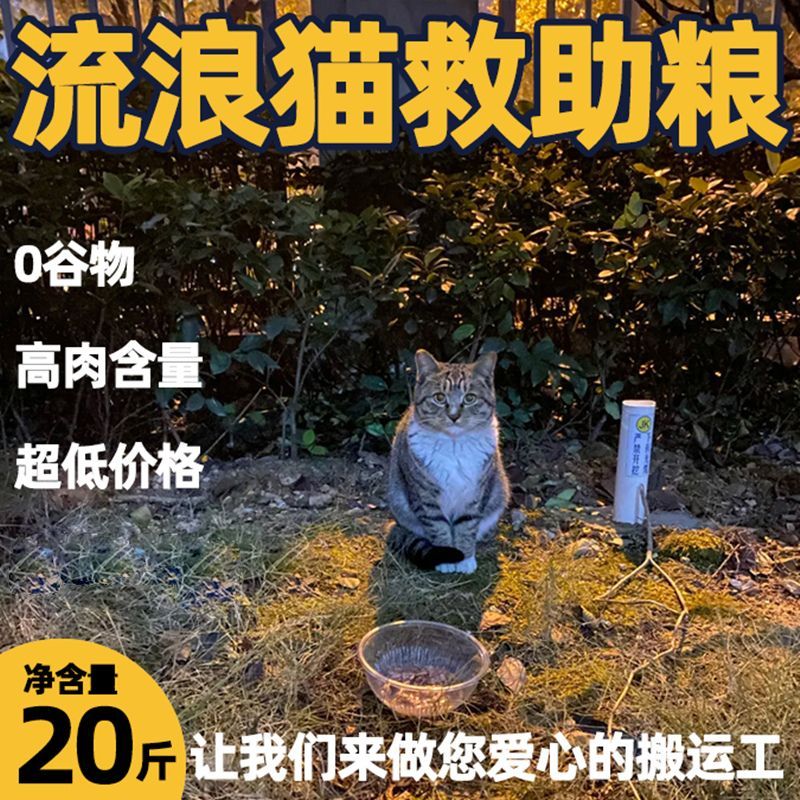 流浪猫猫粮专用成猫幼猫爱心救助全价