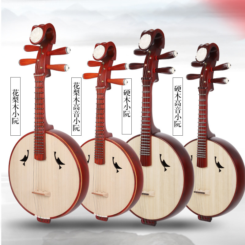 红木小阮乐器初学者入门专业考级中阮琴花梨木演奏中软厂家直销