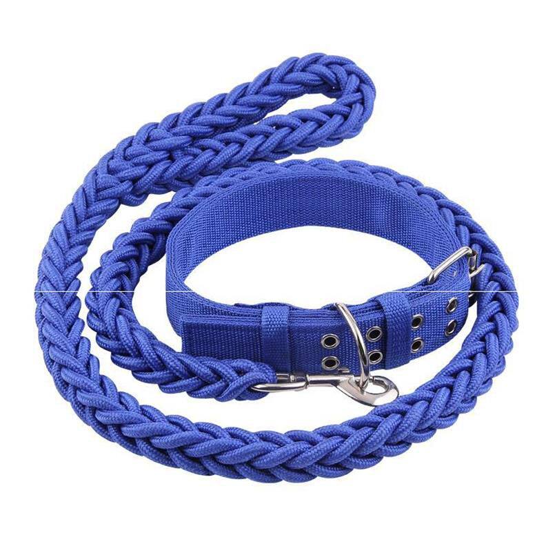 边境牧羊犬专用的遛狗绳边境柯利犬训犬随行牵引绳中型犬p字绳p链