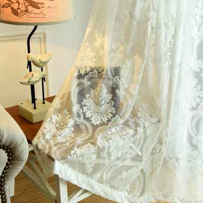 纱帘蕾丝窗帘布窗纱薄款白色薄纱客厅沙网纱沙帘镂空半透明纱布料