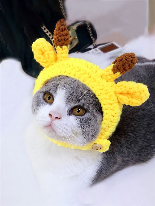 宠物猫咪卡通耳朵小帽子女秋冬可爱款小奶猫针织毛线头饰宠物用品