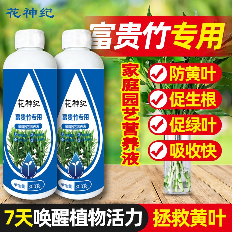 富贵竹专用营养液治黄叶水培植物生根营养液观音竹转运竹通用肥料