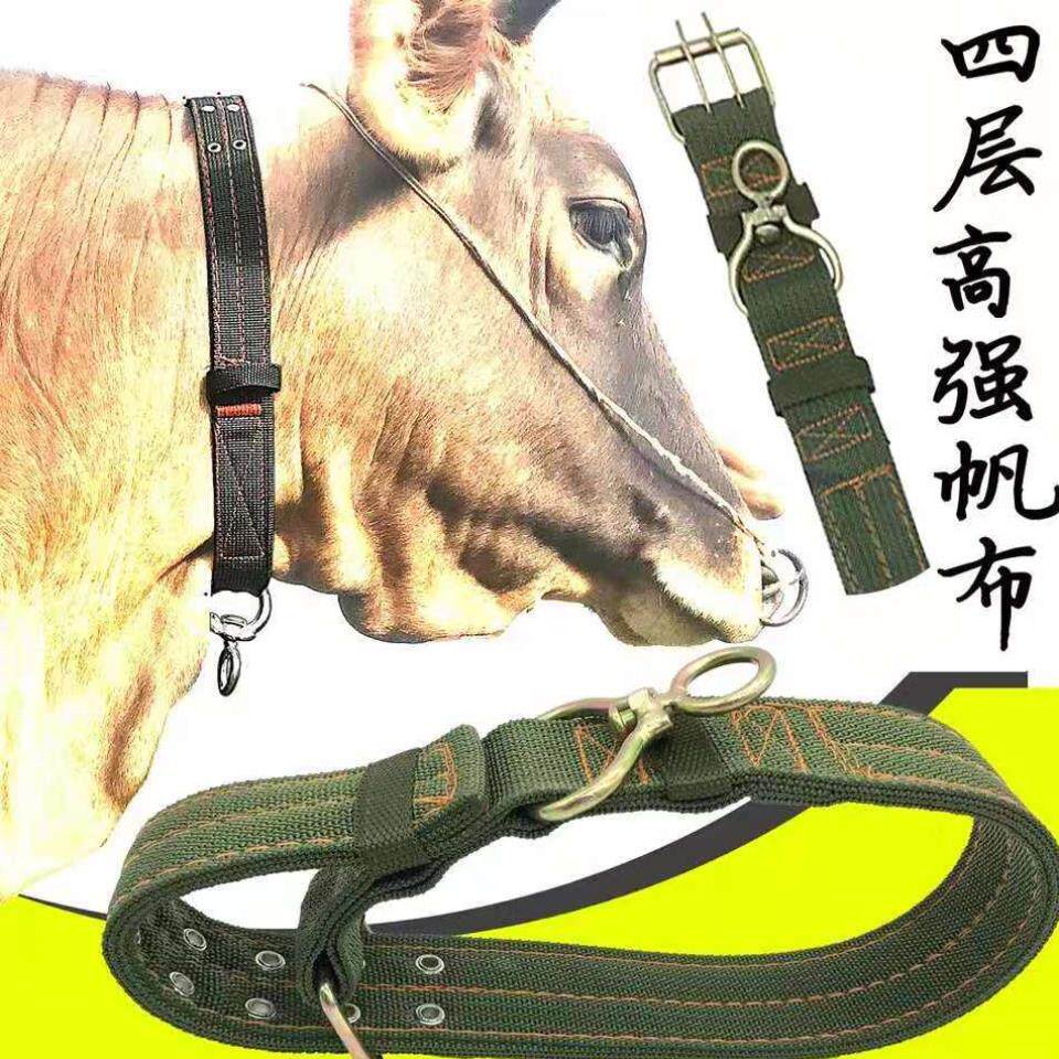 拴牛器用绳子的笼头具法牛项圈畜牧养殖养工套p牛鼻栓牛脖套神专