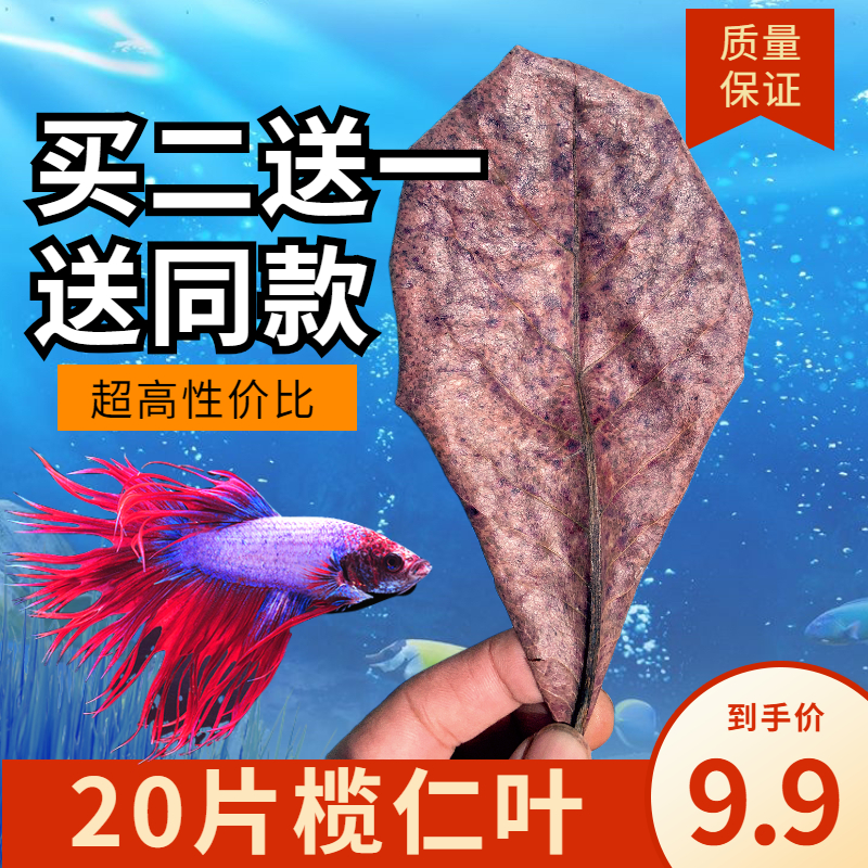 斗鱼懒人叶鱼缸榄仁叶乌龟橄榄叶南美缸树叶水族箱降酸PH值调节剂