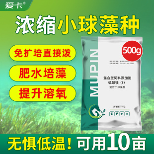 高浓缩复合藻种小球藻硅藻免扩培耐低温鱼虾蟹苗开口饵料肥水增氧