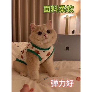 猫咪衣服防掉毛夏季薄款英美短蓝猫布偶猫小型犬泰迪狗狗夏天背心