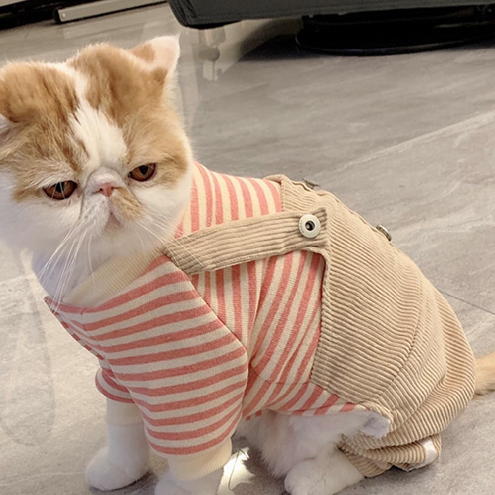 衣服帅气穿虎宠物防止掉英短毛猫咪装美秋冬宠物服装