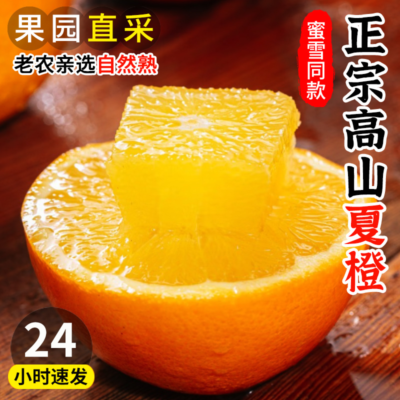 爆汁夏橙正宗秭归脐橙子10斤新鲜水