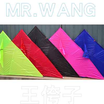王侉子风筝 红白蓝伞布三角544软碳素杆黑红黄微风潍坊大型可折叠