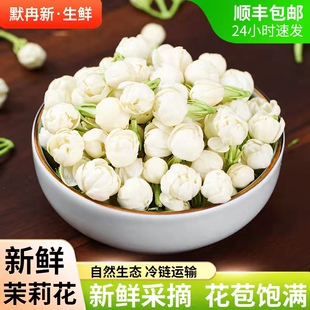 【现货】新鲜茉莉花1斤 现摘云南食用鲜花当季时令蔬菜茉莉花包邮