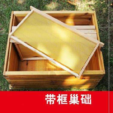 巢木高箱巢门规格中峰取蜜蜂王杉木板蜂箱巢框成品铜眼立式巢础