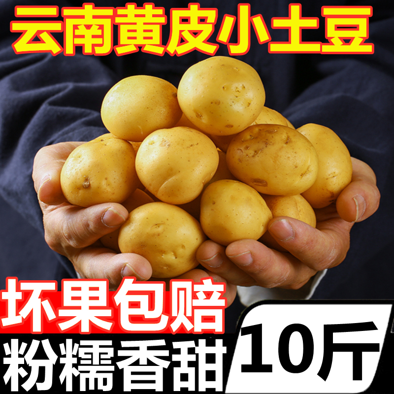 雲南高原現挖黃皮迷妳小土豆新鮮10斤蔬菜農家自種洋芋馬鈴薯在類目 水產肉類/新鮮蔬果/熟食, 新鮮蔬菜/蔬菜製品, 新鮮蔬菜, 土豆中 - 來自Buy2taobao.com提供專業的淘寶代購服務