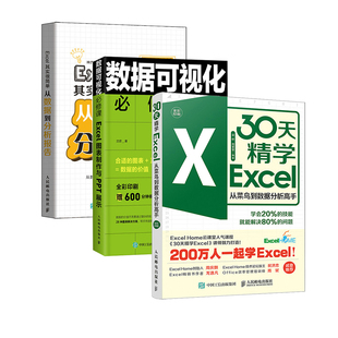 Excel数据分析套装：30天精学Excel+Excel 图表制作与PPT展示+Excel其实很简单 从数据到分析报告（套装共3册）