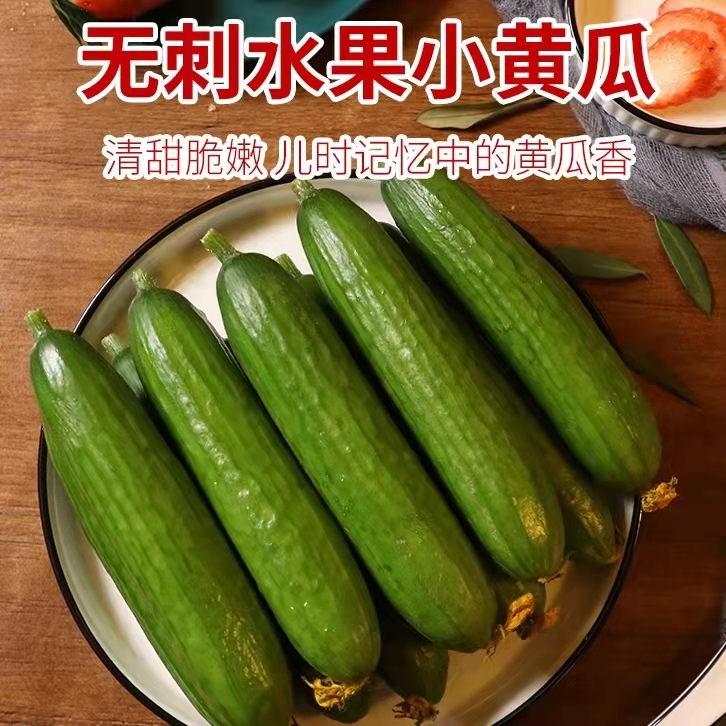 新鲜水果小黄瓜4.5斤小青瓜时令蔬