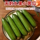 【千禧颂】新鲜水果小黄瓜4.5斤小青瓜时令蔬菜生吃