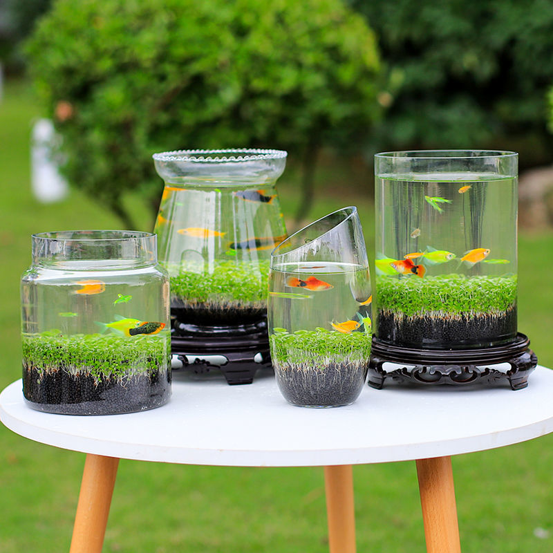 创意桌面生态鱼瓶鱼缸圆形玻璃金鱼缸水培微景观绿植套装造景鱼瓶