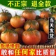 丹东铁皮草莓柿子新鲜5斤西红柿自然熟绿腚番茄盘锦柿子包邮3