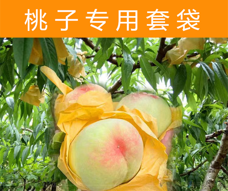 桃子专用套袋橙子油桃毛桃黄桃套袋透