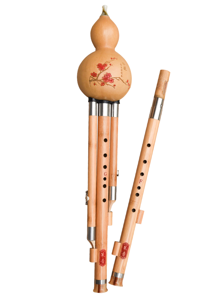 调音初学者耐用双调葫芦丝楠竹f加g降b加c准易吹乐器成人演奏