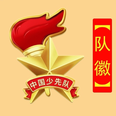 队学生不徽一年级别针式小褪色少先队队徽胸牌幼儿园胸针初中生.