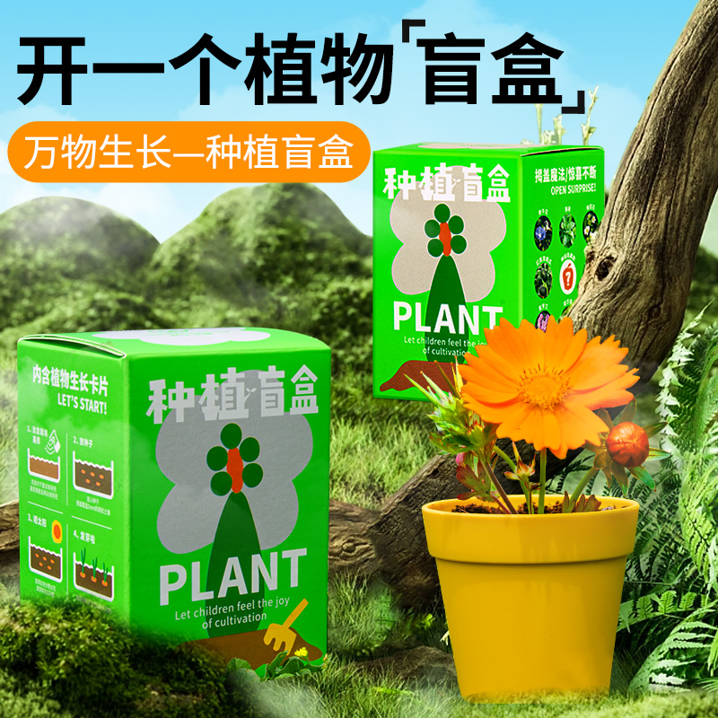 阳光房种植儿童盲盒科学小实验套装植物生长观察盒61生日礼物玩具