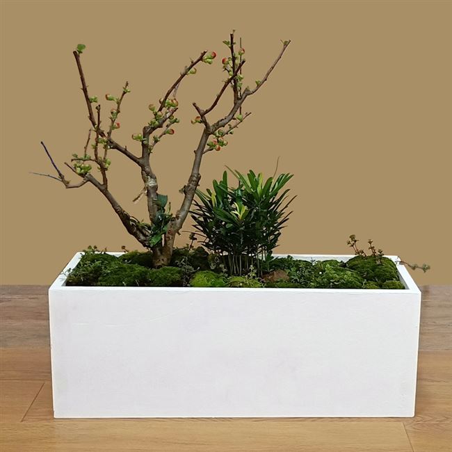 盆景家用阳台长方形仿水泥花盆大号种菜多肉绿植物室内户外花盆