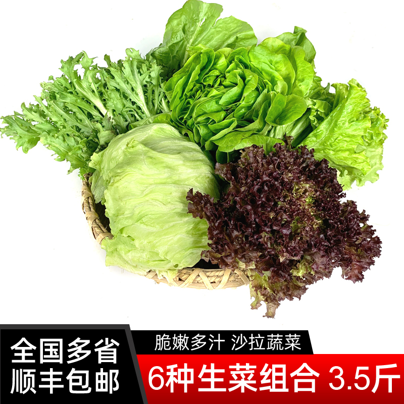 沙拉蔬菜组合3.5斤 苦菊奶油罗马球生菜新鲜蔬菜西餐色拉沙拉食材