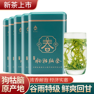 2024年新茶茶叶狗牯脑绿茶明前高山云雾绿茶日照毛尖碧螺春龙井绿