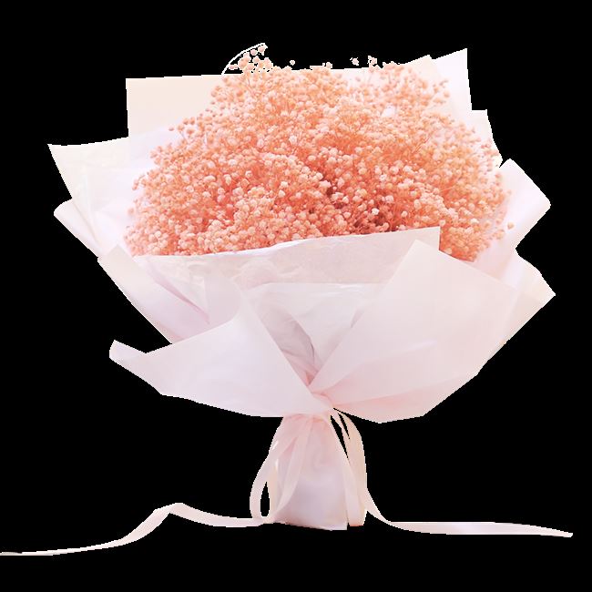 满天星干花花束大束礼盒图片