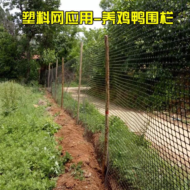 菜园围栏网塑料价格