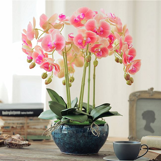 蓝色花盆陶瓷大号孔雀蓝图片