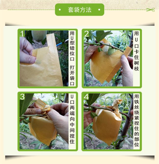 水果套袋专用袋柑橘图片