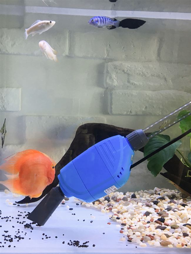 鱼缸换水器电动吸便水族箱自动加水洗沙吸鱼粪清理鱼便吸污抽水泵