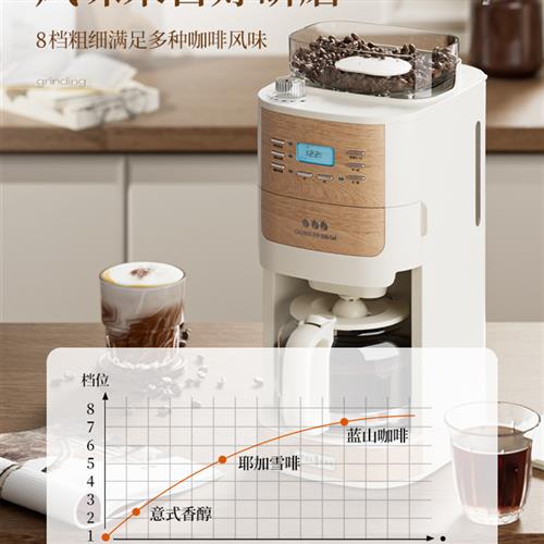 厂家厂家2023新款雪特朗美式全自动咖啡机磨豆一体家用小型滴漏办