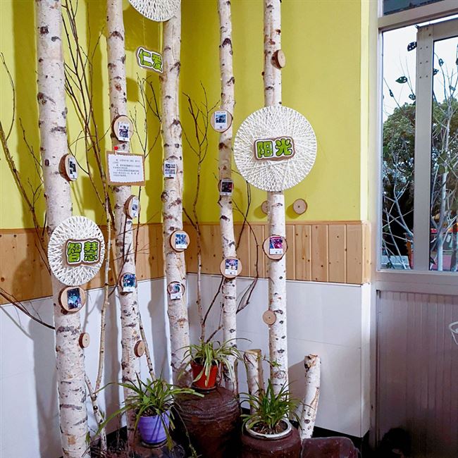 树木树干书架原木白桦树装饰木干树枝造型树木头屏风室内客厅隔断