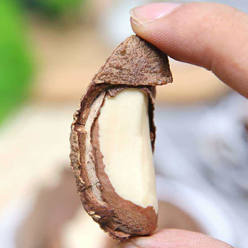 新货富硒巴西进口大鲍鱼果巴西果