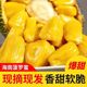 黄肉菠萝蜜海南新鲜现摘干苞精品当季水果热带水果灵甜红肉一整个