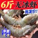 青岛大虾鲜活超大无冰新鲜特大号液氮氮气海虾气冻海鲜海虾一整箱