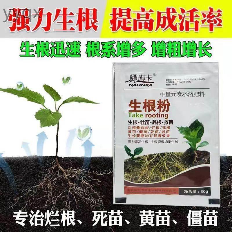 10包娜琳卡生根粉中量元素水溶肥料30g强力生根粉高效通用强力