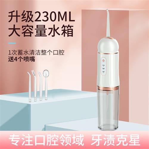 超声波洗牙器口腔清洁电动便携式家用洁牙冲牙器除牙结石水牙线