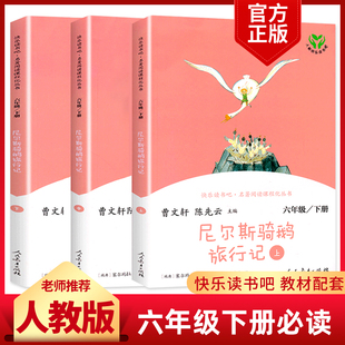 语文 尼尔斯骑鹅旅行记上中下彩色版全3册六年级下册 课外书人教版快乐读书吧老师推荐经典儿童文学读物