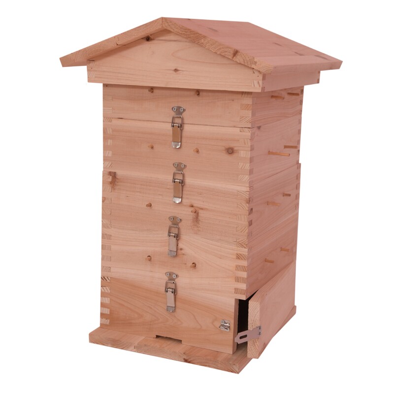 格子箱蜂箱别墅款鸭嘴扣款蜂具懒人古法土养中蜂蜂具蜜蜂专用