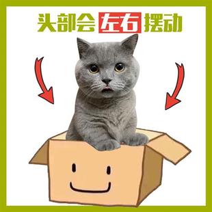 猫咪宠物摇头桌面摆件定制车载情绪稳定汽车摇摇乐治愈系礼物情侣