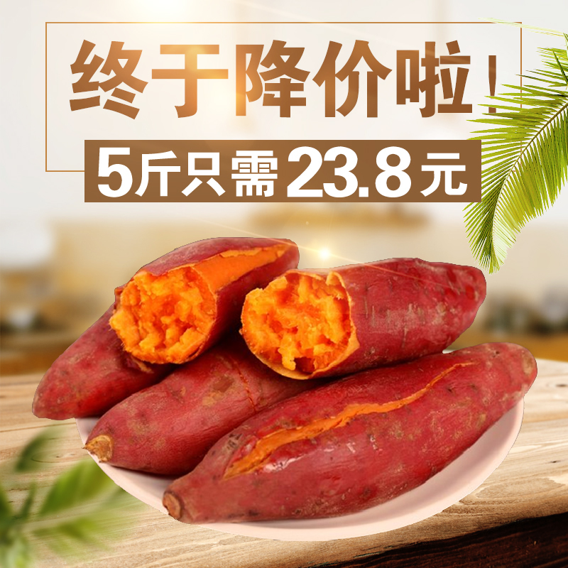 福建六鳌蜜薯新鲜现挖红心地瓜沙地红薯沙地番薯5斤精选大中果|msdalam kategori daging perikanan/Buah-buahan segar dan sayur-sayuran/dimasak, sayur-sayuran segar/Vegetable Products, sayur-sayuran segar, ubi keledek - dari Buy2taobao.com untuk memberikan perkhidmatan ejen Taobao profesional membeli