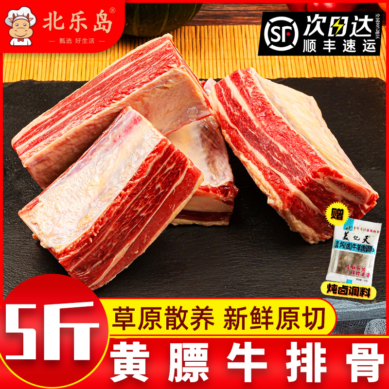 草原黄膘牛排骨新鲜带肉5斤牛肋排骨牛肋条牛仔骨散养牛肉生鲜