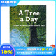 【现货】英文原版 一日一树 A Tree a Day 树木艺术摄影作品 正版进口图书画册