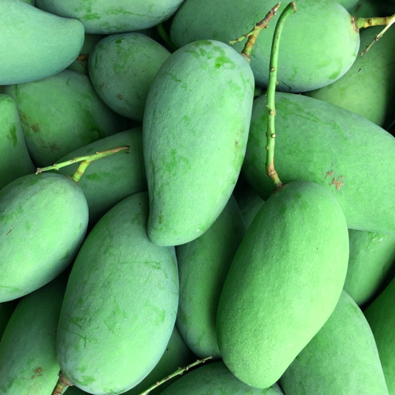 生吃芒果青芒果云南芒果芽象牙芒当季水果3斤装