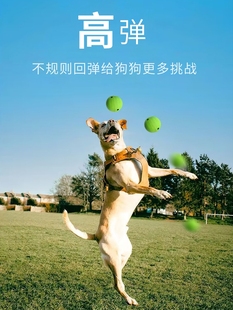 狗狗玩具实心软胶弹力发声球不伤地板着地无声耐咬解闷神器小型狗